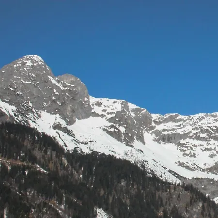 Edelweiss-1 By Interhome * Werfenweng